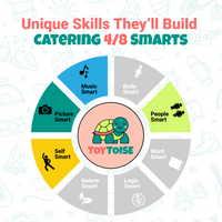 Toytoise Blowing Ball Dolphin Toy – Lights, Music & Endless Fun for Toddlers