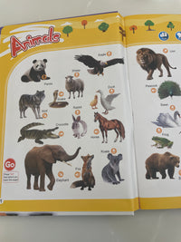 Toytoise English Words Sound Book