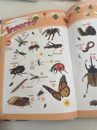 Toytoise English Words Sound Book